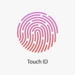 Не работает Touch ID на iPhone. Что делать?